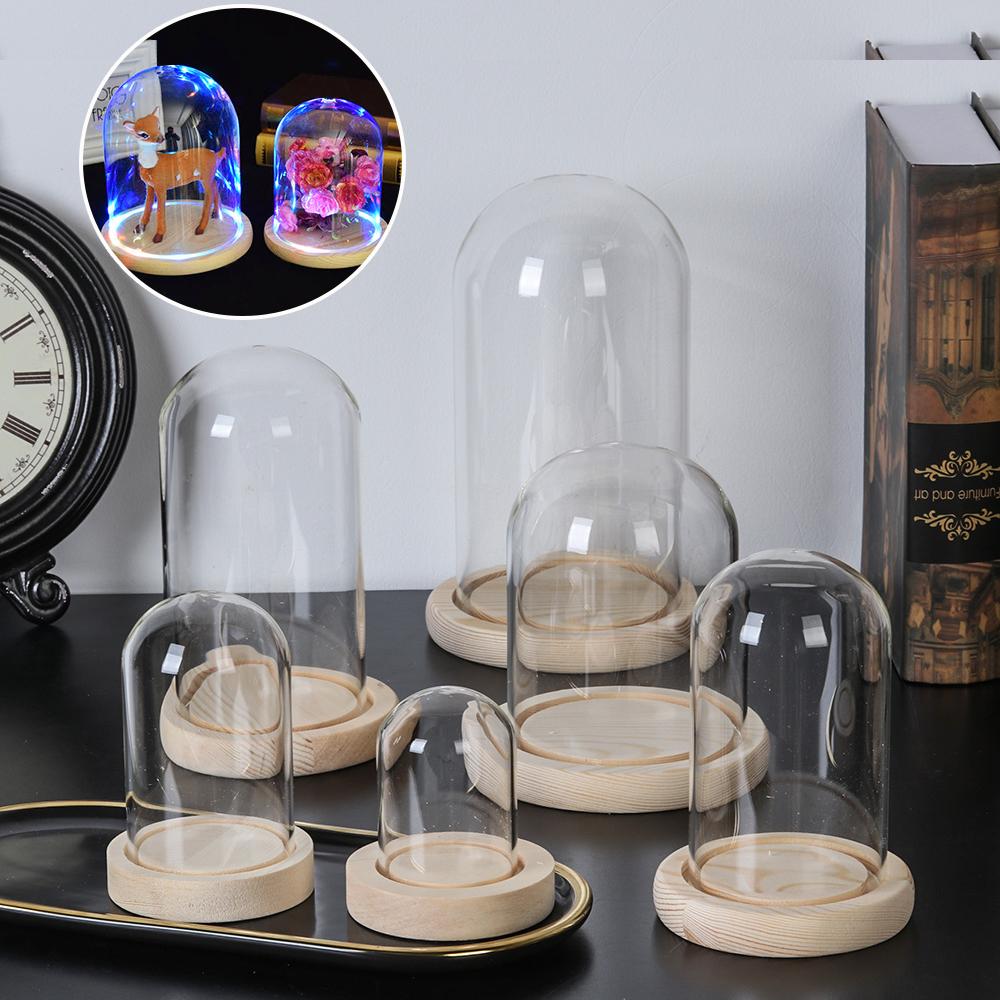 Fairy Lights Home Decor Terrar - Vase Decor review and price
